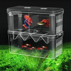 [골드스마일]구피 부화통 치어 번식함 대형 열대어 2칸