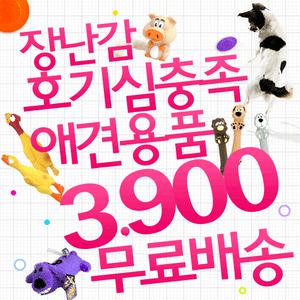 장난감/라텍스/원반/실타래/야광공/프레스비/스타마크