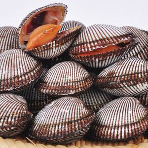 [당일채취 발송] 피꼬막 3kg/5kg (실중량,상품)