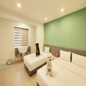 [강원 모텔] 속초 도글리아 호텔 (DOGLIA HOTEL) (속초,고성)