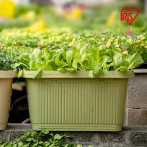 아이리스  50L 대형 프란타 텃반화분 사각화분 대형 화분700 베란다 가드닝 정원가꾸기 야채 재배기