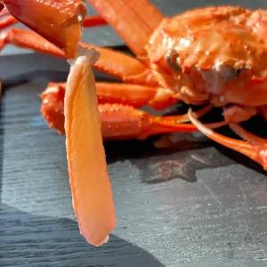 포항 구룡포 자숙 연지 홍게 3kg (10~12미) 고급형 특A급 수율 90%내외