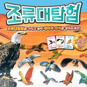 조류 대탐험/보드/게임/어린이/초등/세트/고전/복불복/인기/가족/뽑기/단체/유치원/저학년/카드/학생/기억