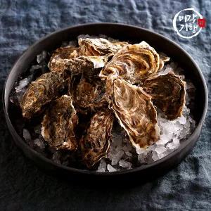 미각기행 통영 석화 5kg