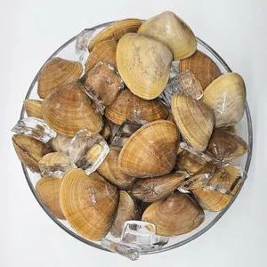 [통영수산물시장] 제철 국내산 명주조개 1kg 20미내외