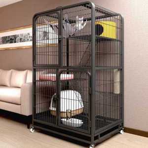 슈가글라이더 케이지 하늘다람쥐 패키지 하우스 분양 원목 하늘 키우기 놀이터 은신처