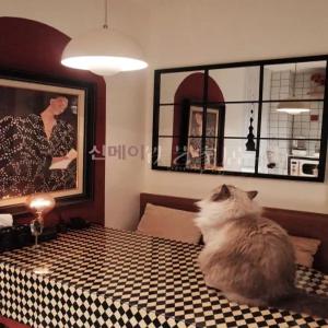 격자 거울 인테리어 창문형 카페 흰색 레스토랑 엔틱 없음 현관