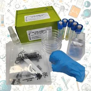 식품 속 유산균 미생물 배양 배지 도말법 5인용 실험키트 첫과학 과학입문