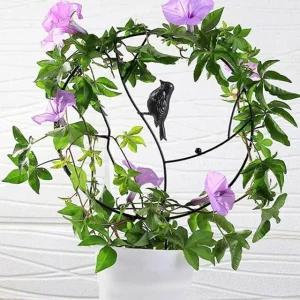 고품질 지지대 덩굴식물지지대 블랙 식물 원형 원예자재 (WF9B838)