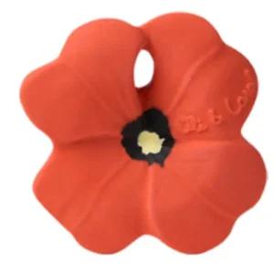 올리앤캐롤 아기 이앓이 장난감 토이 팝터파피