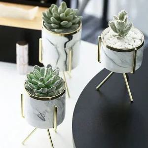 다육이 화분 거치대 선인장 탁상화분 식물화분 소형화분