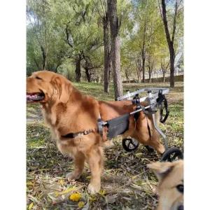 대형견 휠체어 의족 애견보행기 바퀴 이륜 반려견