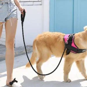 [골드스마일]애견 대형견 리드줄 강아지 PET 산책줄 2m 목줄