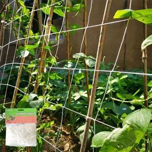 잔솔 넝쿨 지지대 텃밭 오이 고추 덩굴 식물 새그물망 텃밭그물망