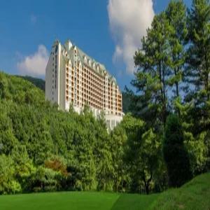 [경기] 양지파인리조트(경기, 용인)