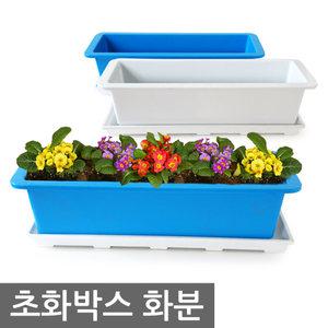 초화박스 화분/학교 학원 관공서 인테리어 채소 정원