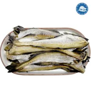 반건 조미 노가리 대자 1kg 보냉팩 /두절 마른 안주 명태 대구 앵치 반건조
