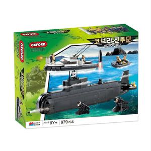 옥스포드 코브라전투단 해군 UDT