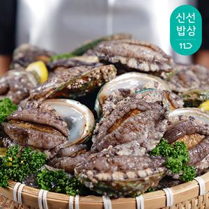 [품질보장] 완도 활 전복 1kg 12-13미 큼지막한 특대 사이즈