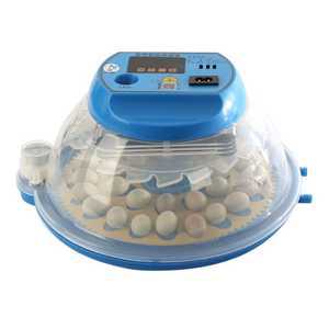 병아리 자동 부화기 육추기 병아리만들기 계란 키우기