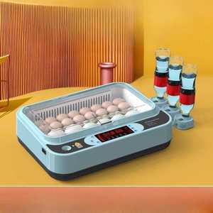 자동 사육장 조류 메추리알 자동부화기 병아리 미니 파충류 부화기기