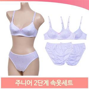 주니어 2단계 속옷세트 브라 삼각팬티 블루 핑크 A컵