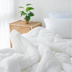 국내생산 60수 순면 퓨어 항균 이불 옥수수솜 침구세트 퀸사이즈 5색