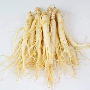 금산 황금농장 오쿠용1회분 원삼 250g(10-13편내외)