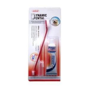 다이나믹 덴탈 치약칫솔 세트 (80g)