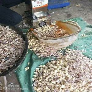 해이프 마늘까는 기계 자동 껍질 마늘 가정용 식당 까는