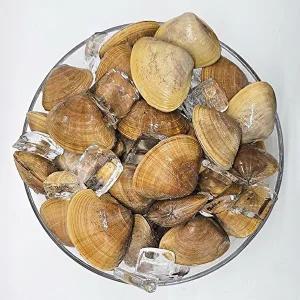 [통영수산물시장][통영수산물시장] 제철 국내산 명주조개 1kg 20미내외