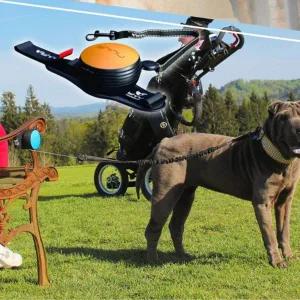 [골드스마일]강아지 핸즈프리 산책 자동줄 오렌지 1P 워킹줄 산책