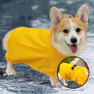 [골드스마일]애견 비옷 레인코트 중형견 대형견 반려견 우의