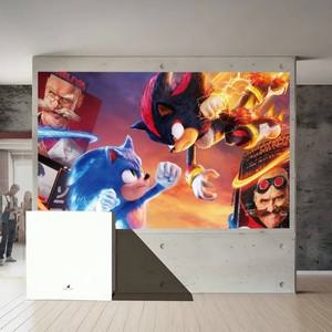 소닉 더 헤지호그 2025  배경  생일 케이크 스매시 초상화 장식 스튜디오