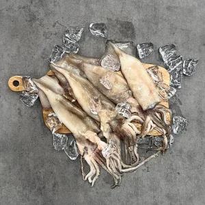 포항 구룡포 손질 통오징어 팩당 350g (2미 x 3팩 - 총 6미)