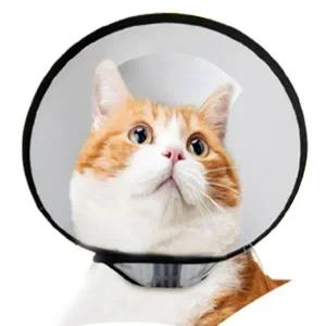 [골드스마일]강아지 반투명 찍찍이 넥카라 7호 1P 수술 깔대기 카라