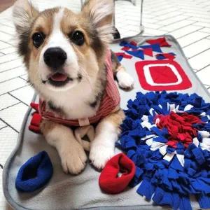 강아지 감각 자극 매트 반려견 놀이 패드 노즈 워크 훈련