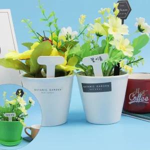 미니 화분 식물 다육이 소형 이름표 타원형 10P 튼튼