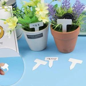 [콩심팥심]미니 소형 사각 화분 튼튼 다육이 식물이름표 10P
