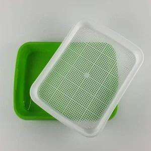 씨앗 새싹 식물재배기 트레이 식물재배기 채소재배기