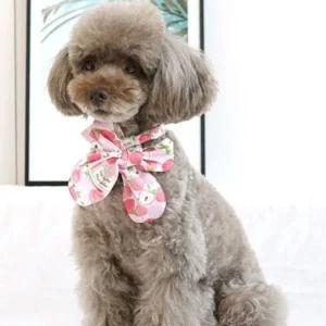 강아지 스카프 L 3색 애견 악세사리 목도리 머플러 강아지악세사리