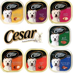 시저 캔 24개/페디그리/이나바/알파독/릴리프/시저사료/강아지 간식