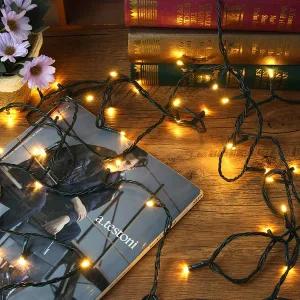 [도토로]은하수 50구 녹색선 LED 웜색 지니전구(5M) (전원잭포함) (연결가능)