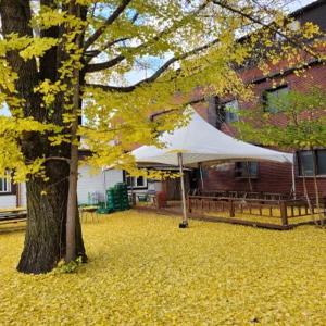 [충북 펜션] 보은 속리산펜션모텔 (보은,옥천,괴산,증평,영동)