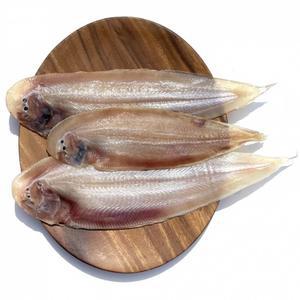 군산 반건조 박대 5미 특  NR-497