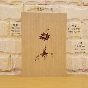 산양삼 이끼 포장 오동 나무 상자 (중형)