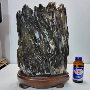 대형 고급 세미나무화석 높이33cm 무게13.5kg 단초마을 골동품/수집품/도자기