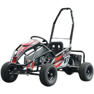 고카트 사륜 산악 전동 125cc 버기카 atv 레이싱 경주