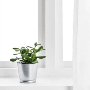 이케아 심플 미니 화분 실내 선반 플라스틱 양철 빈셰 다이다이 네이콘 BINTJE