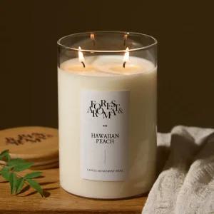 에인디 핸드메이드 대용량 방향제 냄새제거 대왕 소이캔들 1000g